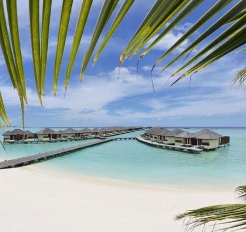 MALDIVI - PARADISE ISLAND RESORT 4*